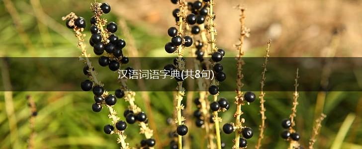 汉语词语字典(共8句),第1张