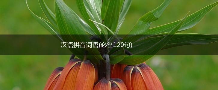 汉语拼音词语(必备120句),第1张
