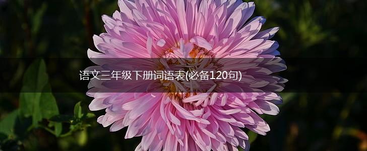 语文三年级下册词语表(必备120句),第1张