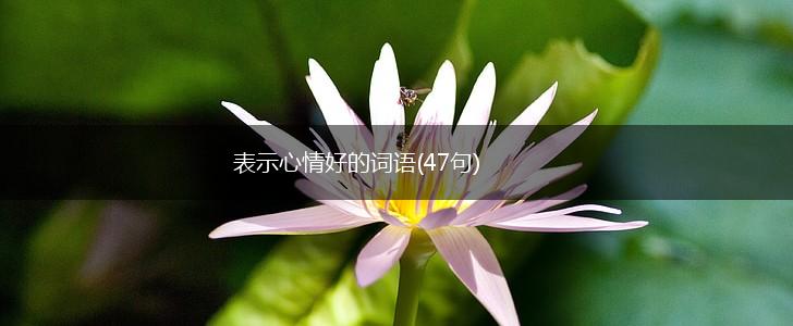 表示心情好的词语(47句),第1张