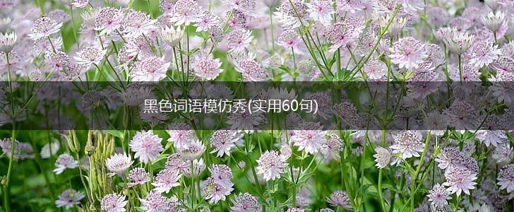 黑色词语模仿秀(实用60句),第1张