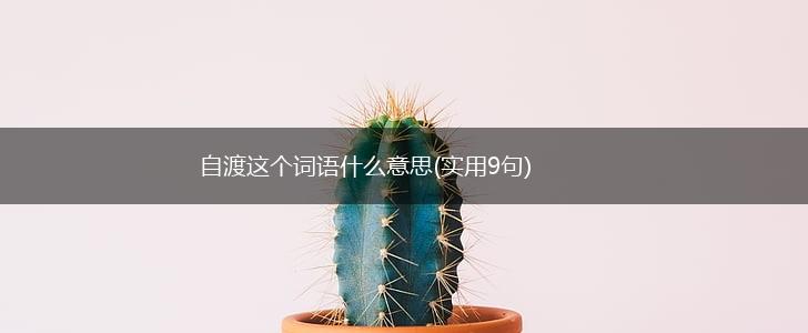 自渡这个词语什么意思(实用9句),第1张