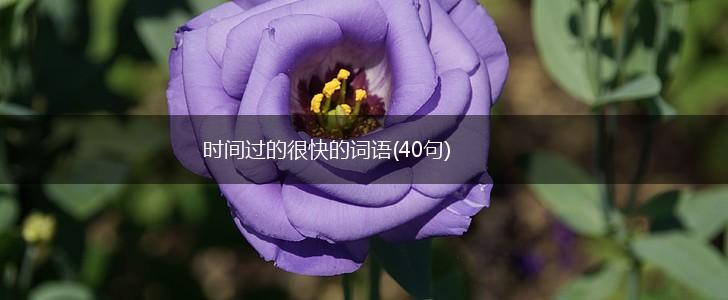 时间过的很快的词语(40句),第1张