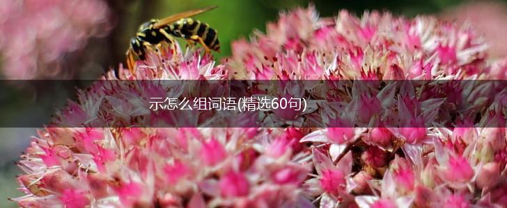 示怎么组词语(精选60句),第1张