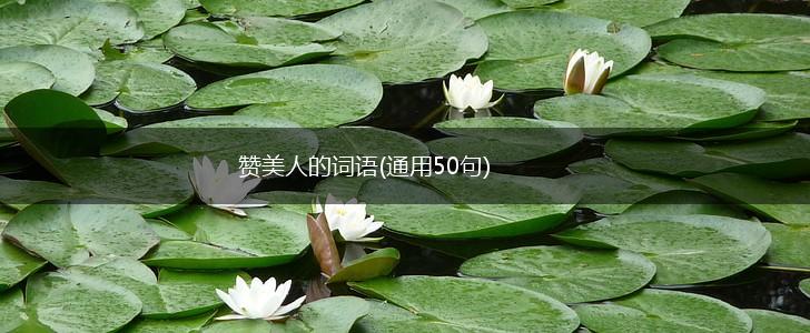 赞美人的词语(通用50句),第1张