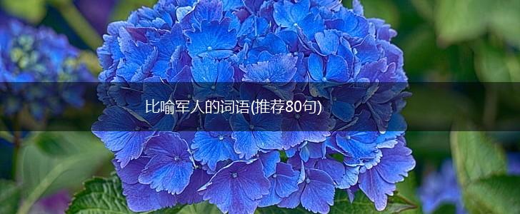 比喻军人的词语(推荐80句),第1张