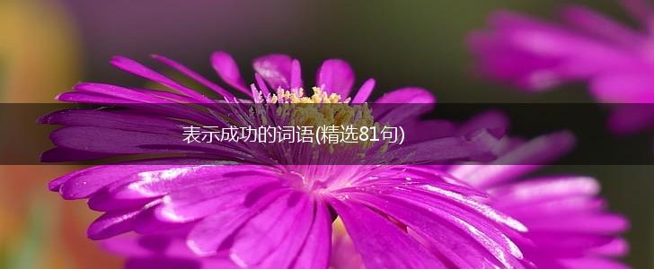 表示成功的词语(精选81句),第1张