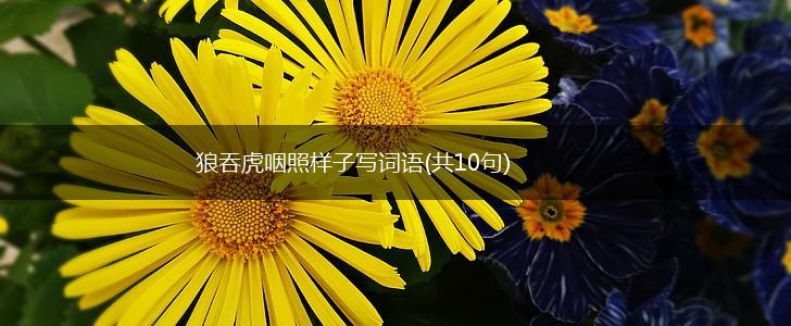 狼吞虎咽照样子写词语(共10句),第1张