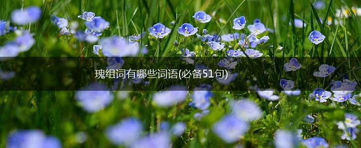 瑰组词有哪些词语(必备51句),第1张