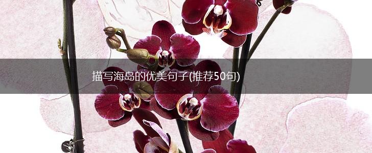 描写海岛的优美句子(推荐50句),第1张
