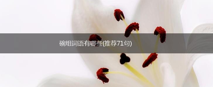 碗组词语有哪些(推荐71句),第1张
