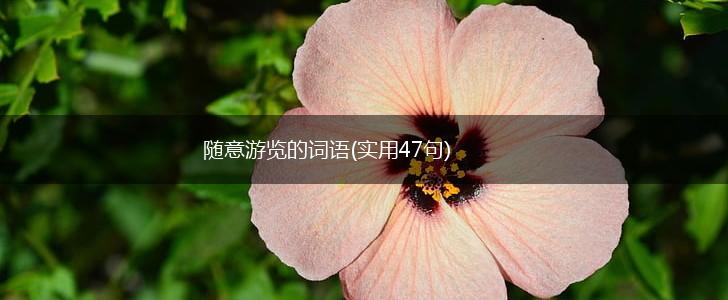 随意游览的词语(实用47句),第1张