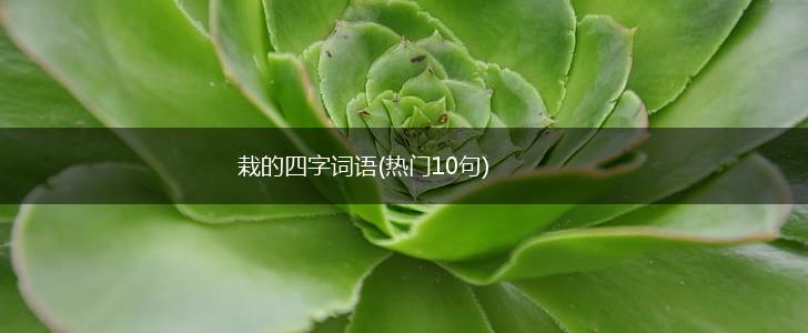 栽的四字词语(热门10句),第1张