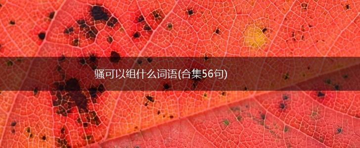 骚可以组什么词语(合集56句),第1张