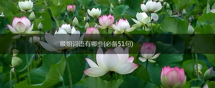 级组词语有哪些(必备51句),第1张