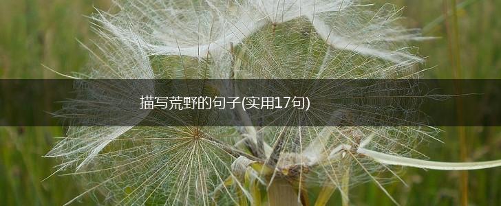 描写荒野的句子(实用17句),第1张