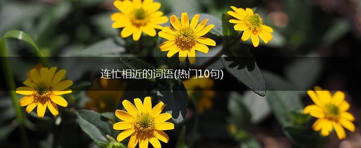 连忙相近的词语(热门10句),第1张