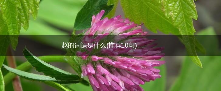 赵的词语是什么(推荐10句),第1张