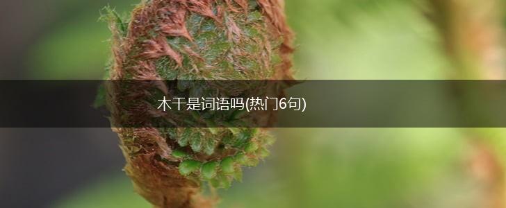 木干是词语吗(热门6句),第1张
