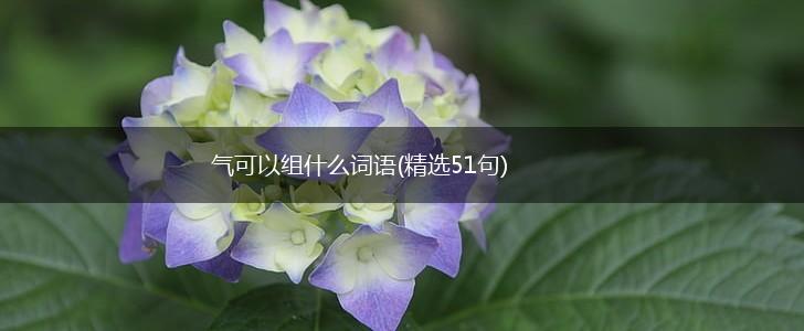 气可以组什么词语(精选51句),第1张