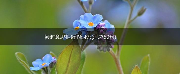 顿时意思相近的词语(汇总60句),第1张