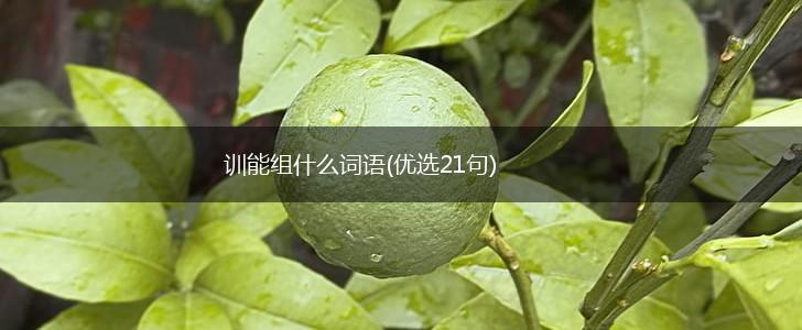 训能组什么词语(优选21句),第1张