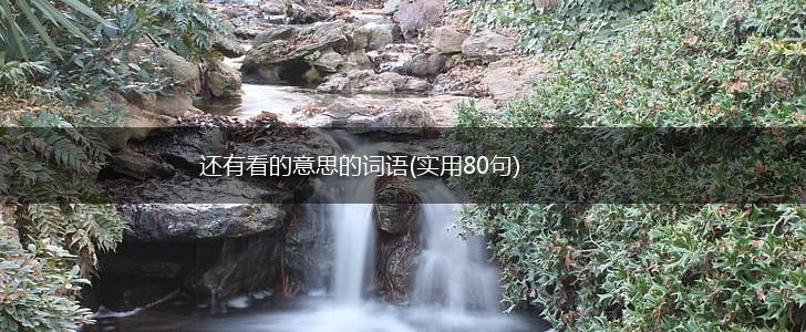 还有看的意思的词语(实用80句),第1张