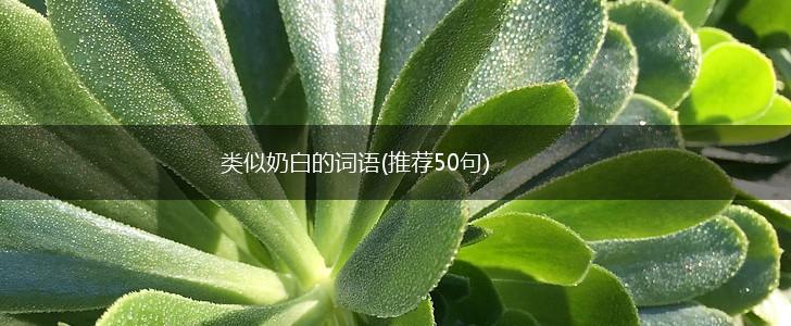 类似奶白的词语(推荐50句),第1张