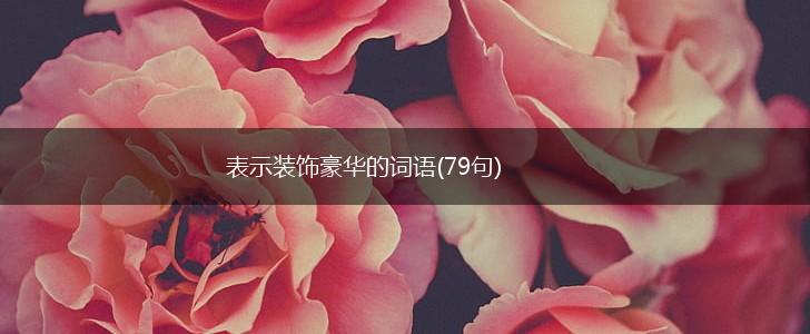 表示装饰豪华的词语(79句),第1张