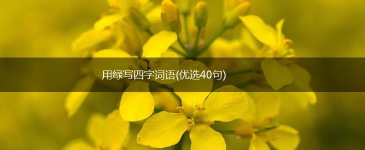 用绿写四字词语(优选40句),第1张