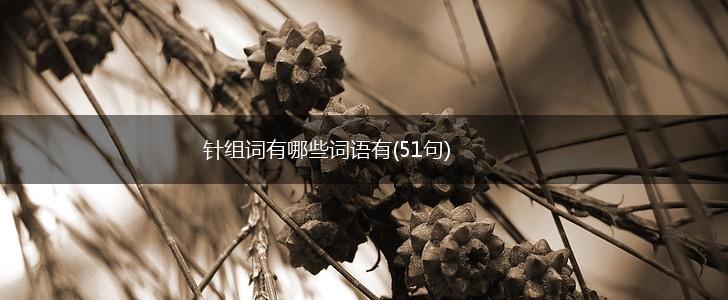 针组词有哪些词语有(51句),第1张