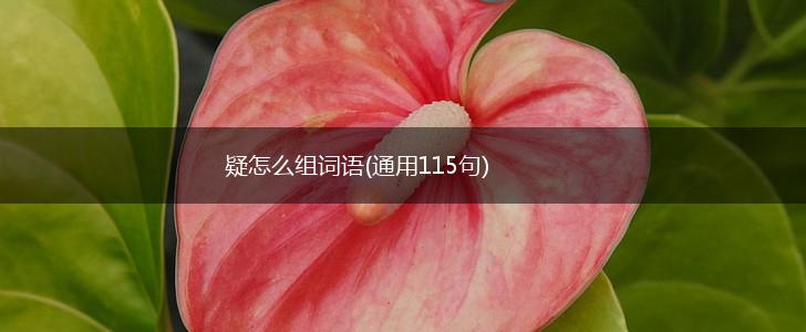疑怎么组词语(通用115句),第1张