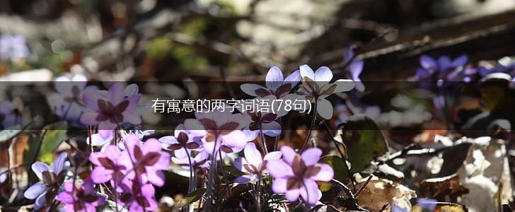 有寓意的两字词语(78句),第1张