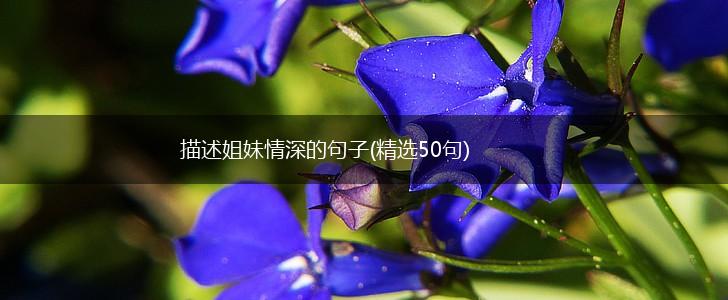 描述姐妹情深的句子(精选50句),第1张