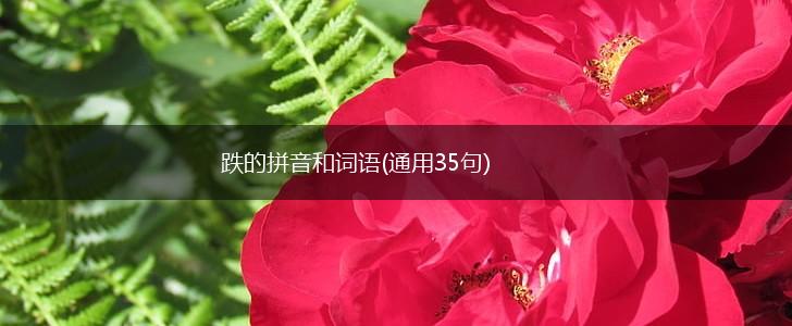 跌的拼音和词语(通用35句),第1张