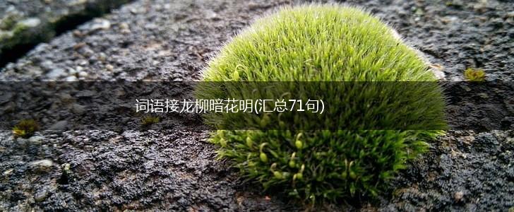 词语接龙柳暗花明(汇总71句),第1张