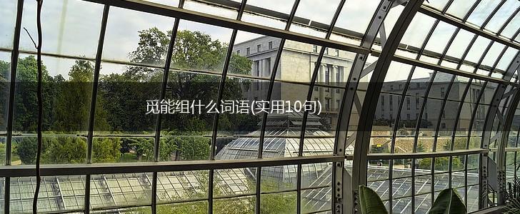 觅能组什么词语(实用10句),第1张