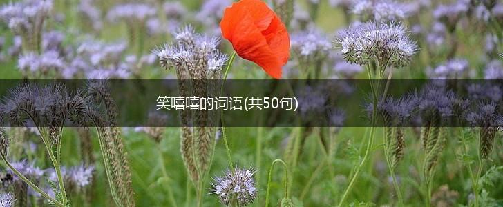 笑嘻嘻的词语(共50句),第1张