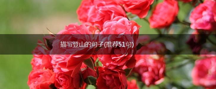 描写登山的句子(推荐51句),第1张