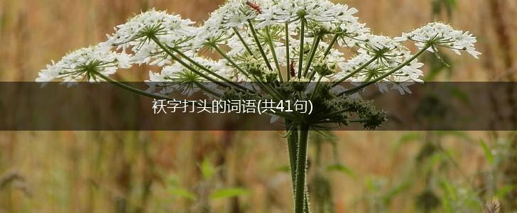 袄字打头的词语(共41句),第1张