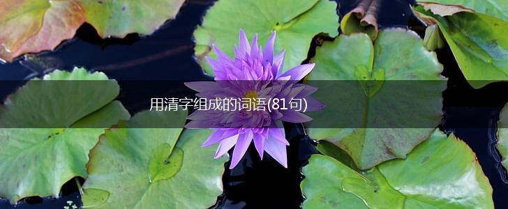 用清字组成的词语(81句),第1张