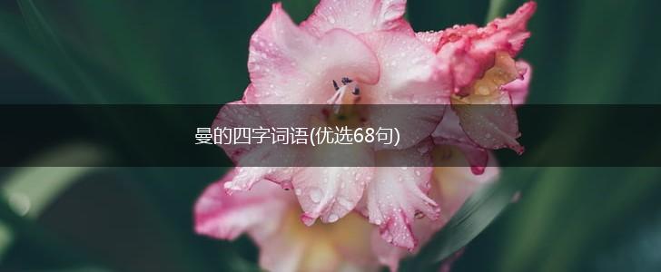 曼的四字词语(优选68句),第1张