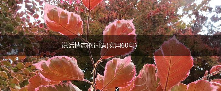 说话情态的词语(实用60句),第1张