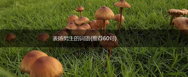 表扬男生的词语(推荐60句),第1张