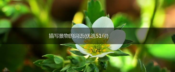 描写景物的词语(优选51句),第1张