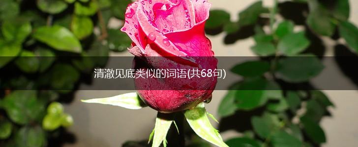 清澈见底类似的词语(共68句),第1张