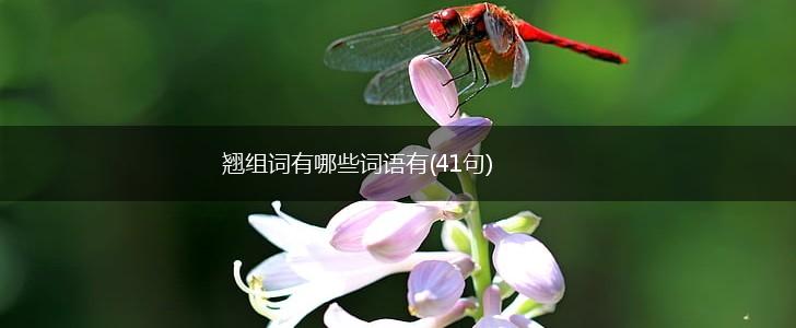 翘组词有哪些词语有(41句),第1张