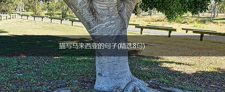 描写马来西亚的句子(精选8句),第1张