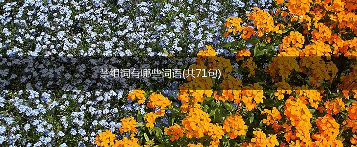 禁组词有哪些词语(共71句),第1张