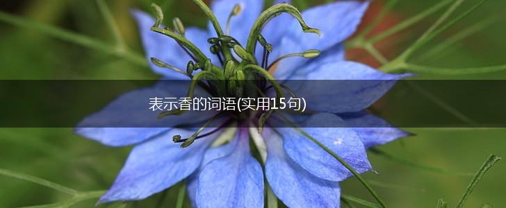 表示香的词语(实用15句),第1张